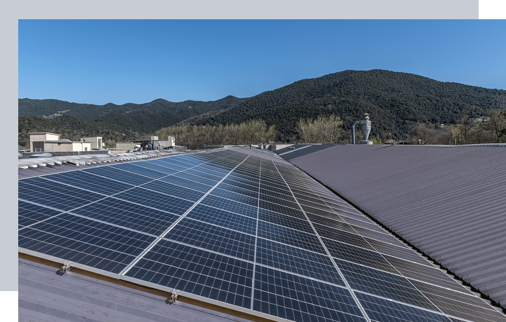 <span>visió</span> de futur